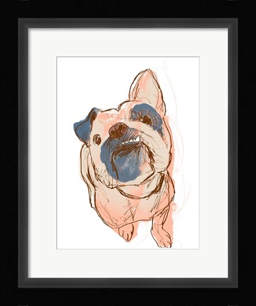 Framed Dog Portrait--Bobo Print