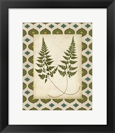 Framed Moroccan Ferns I Print