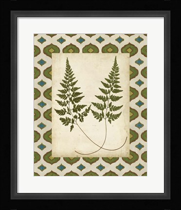 Framed Moroccan Ferns I Print