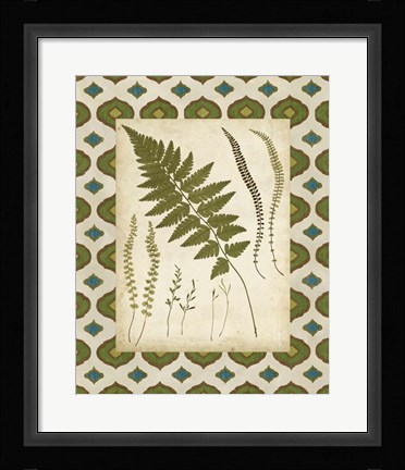 Framed Moroccan Ferns II Print