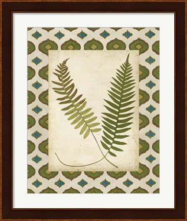 Framed Moroccan Ferns III Print
