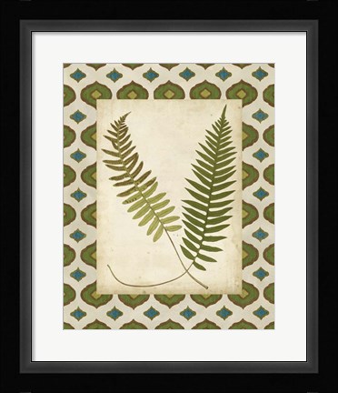 Framed Moroccan Ferns III Print
