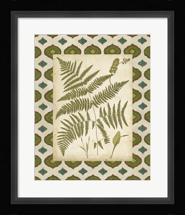 Framed Moroccan Ferns IV Print