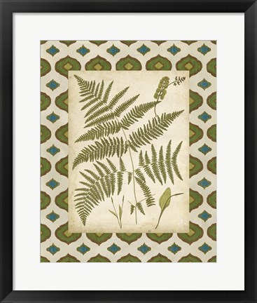 Framed Moroccan Ferns IV Print