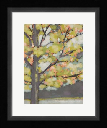 Framed Dappled Dusk III Print