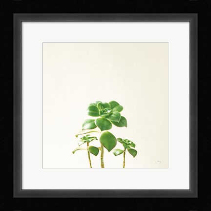 Framed Succulent Simplicity IX Neutral Print