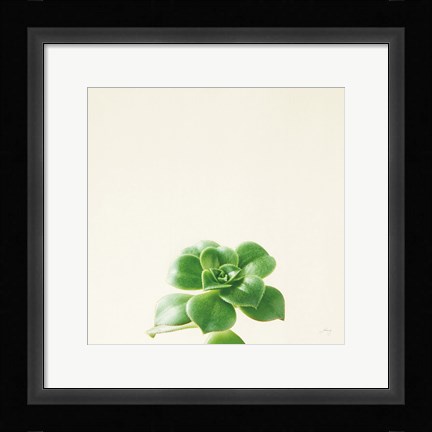 Framed Succulent Simplicity VII Neutral Print