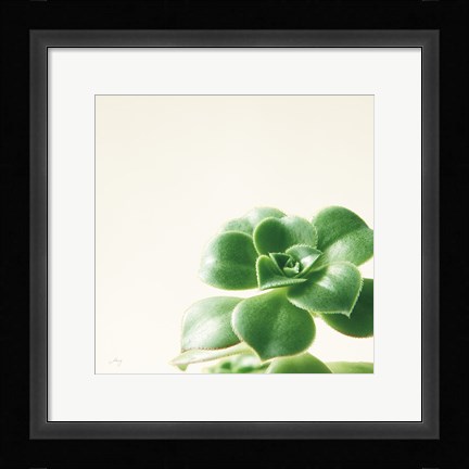 Framed Succulent Simplicity VIII Neutral Print