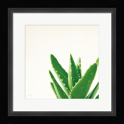 Framed Succulent Simplicity VI Neutral Print