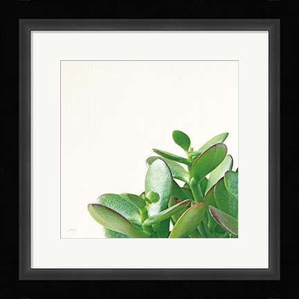 Framed Succulent Simplicity IV Neutral Print