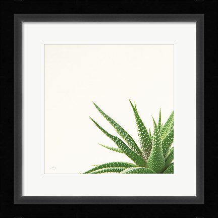 Framed Succulent Simplicity II Neutral Print