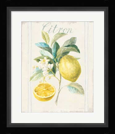 Framed Floursack Lemon IV v2 Print