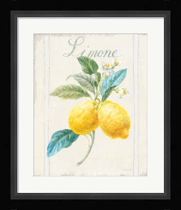 Framed Floursack Lemon III v2 Print