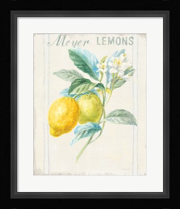 Framed Floursack Lemon II v2 Print