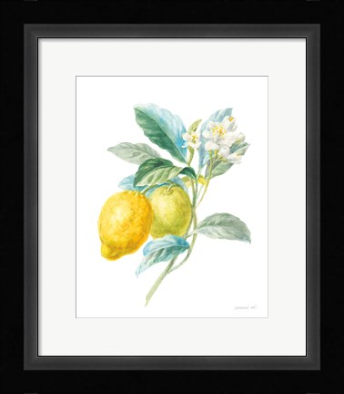 Framed Floursack Lemon II on White Print