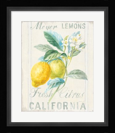 Framed Floursack Lemon II Print