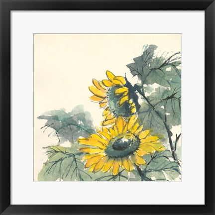 Framed Sunflower II Print