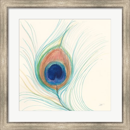 Framed Peacock Feather II Print