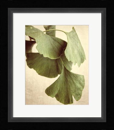 Framed Gingko Color Print