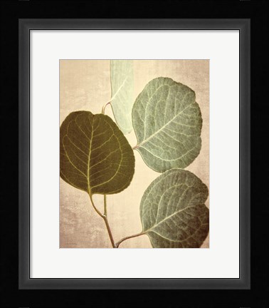 Framed Eucalyptus Color Print