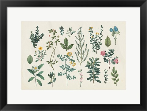 Framed Victorian Garden III Print
