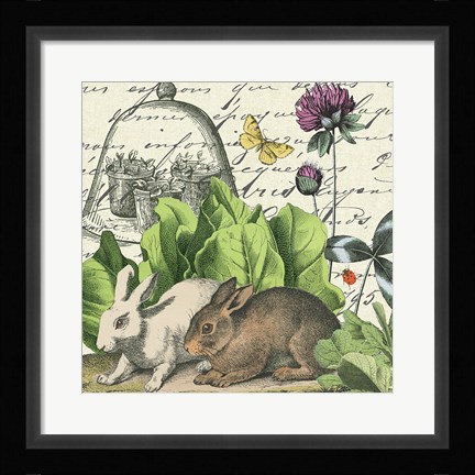 Framed Garden Rabbit II Print