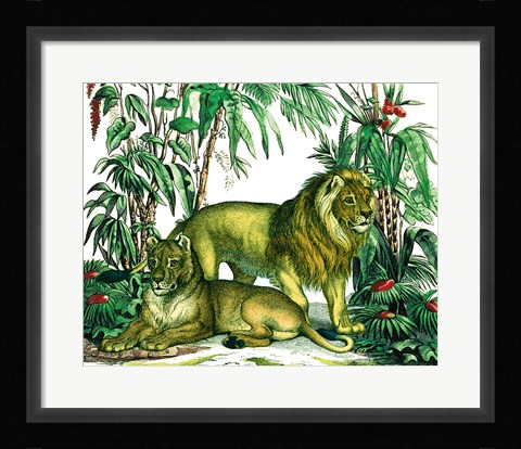 Framed Jungle Flair VI Print