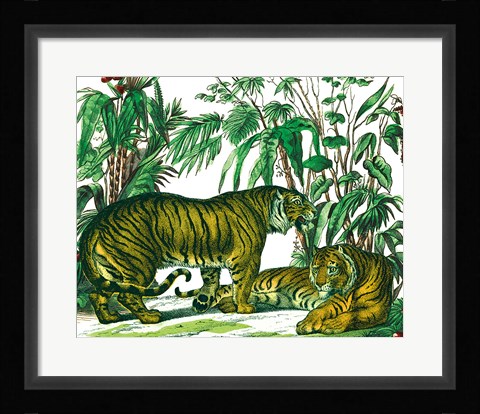 Framed Jungle Flair V Print