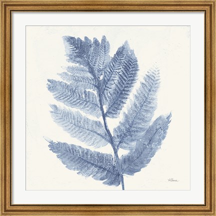 Framed Forest Ferns I Blue Print