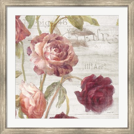 Framed French Roses IV Print