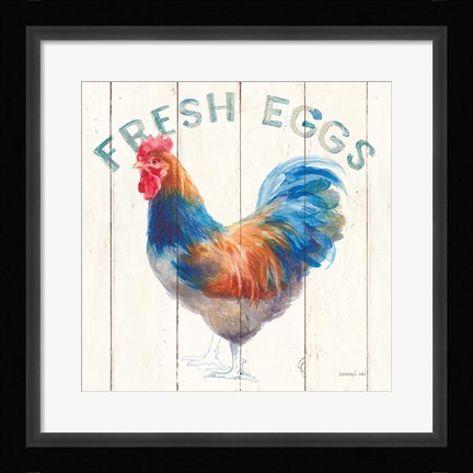 Framed Fresh Eggs Hen Print