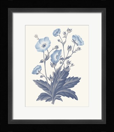Framed Blue Botanical VI Print