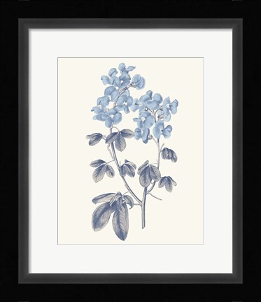 Framed Blue Botanical III Print
