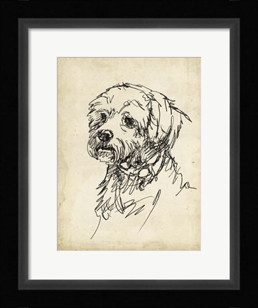 Framed Breed Studies III Print