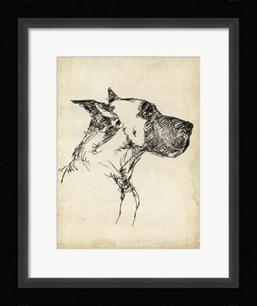 Framed Breed Studies IV Print