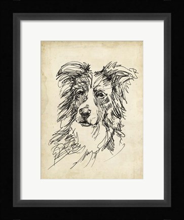 Framed Breed Studies V Print