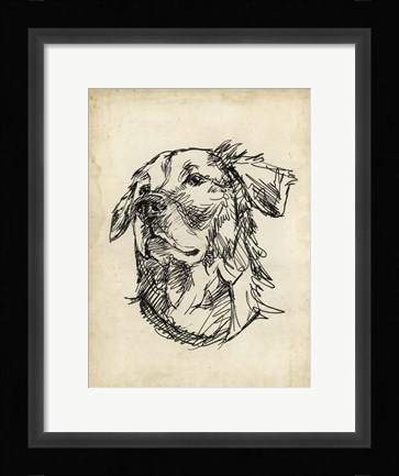 Framed Breed Studies VIII Print