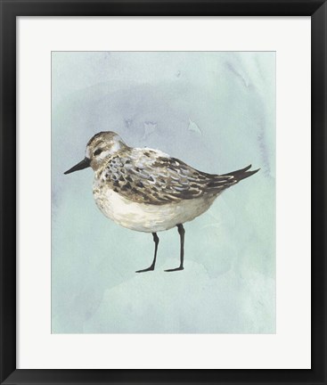 Framed Watercolor Beach Bird V Print