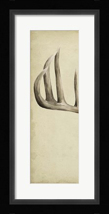 Framed Triptych Whitetail I Print