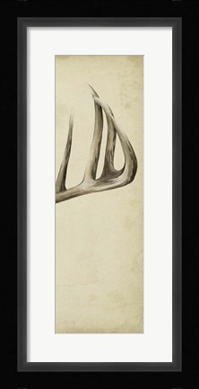 Framed Triptych Whitetail III Print