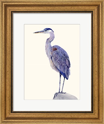 Framed Heron Study I Print