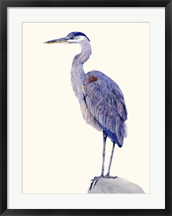 Framed Heron Study I Print