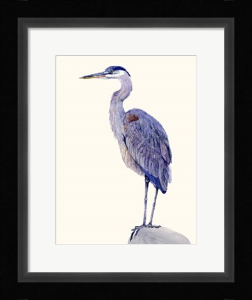 Framed Heron Study I Print