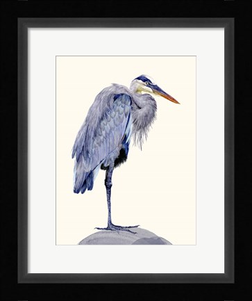 Framed Heron Study II Print