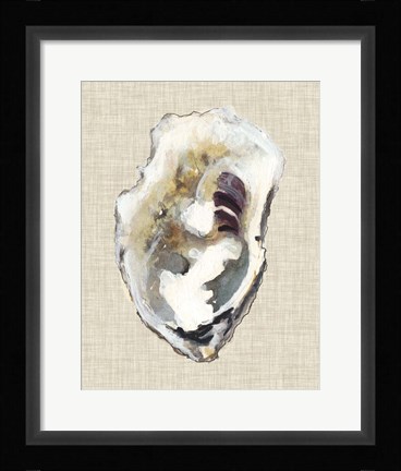 Framed Oyster Shell Study I Print
