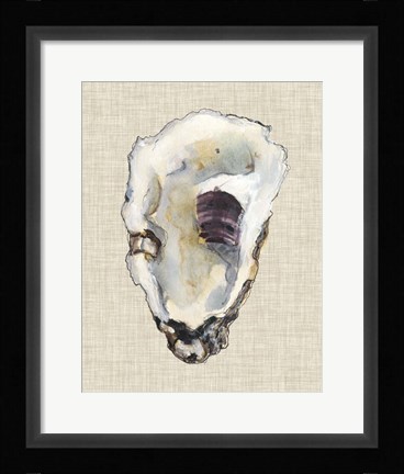 Framed Oyster Shell Study III Print