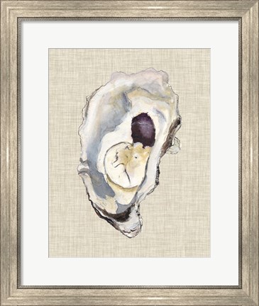 Framed Oyster Shell Study IV Print