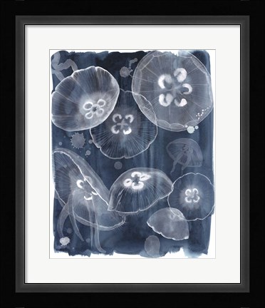 Framed Moon Jellies II Print
