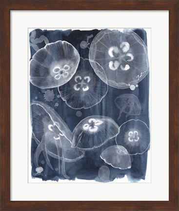 Framed Moon Jellies II Print