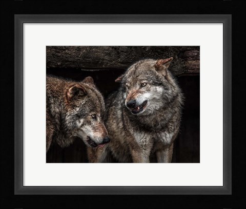 Framed Wolfpack Print